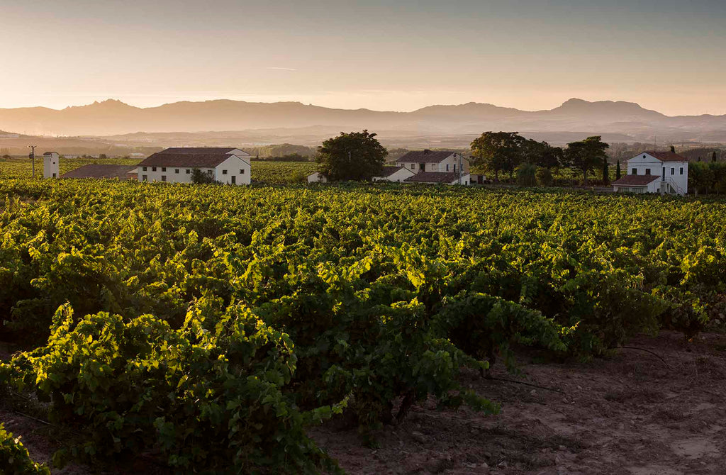 Wijn in de spotlight: Marques de Vargas Rioja Reserva